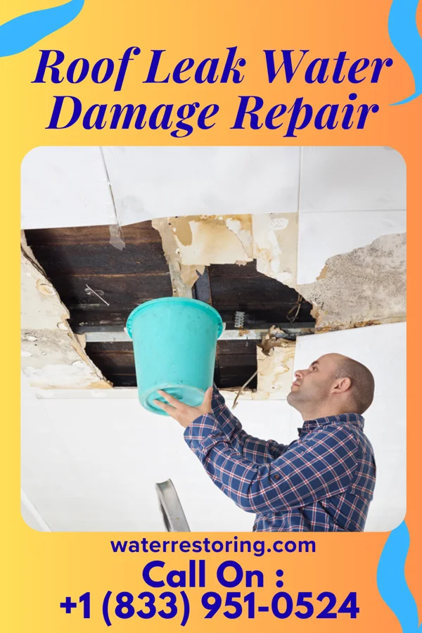 Roof Leak Water Damage Repair in Summit Park, UT
